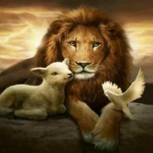 Meet your Posher, Irene castro